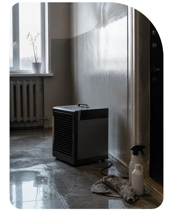 Устранение запаха гнили в квартире в Сафонове по цене от 5124 р. | Сенат-Сфн