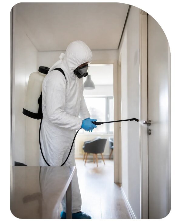 Профессиональная дезинфекция в Сафонове по цене от 3587 р. | Сенат-Сфн